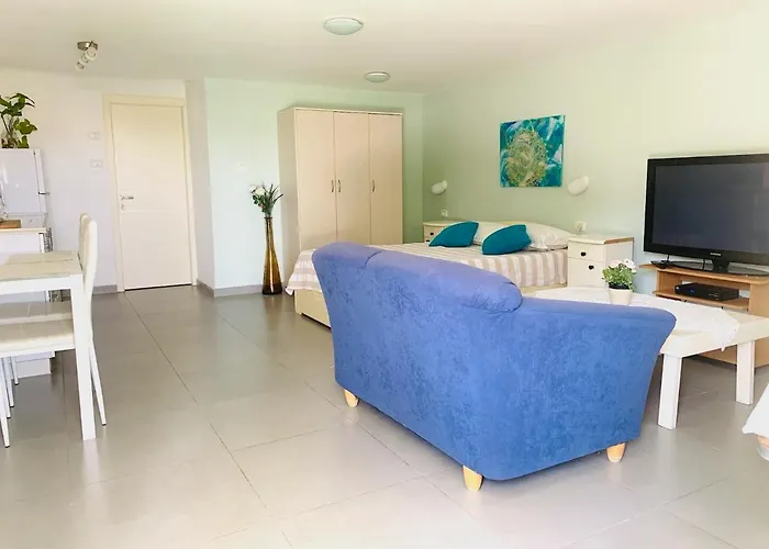 Tamar\'S House